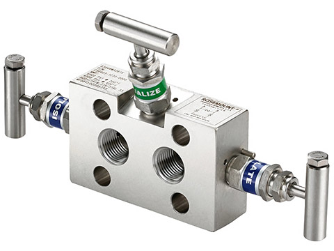 Rosemount 0304 Conventional Manifold
