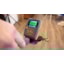 Protimeter ReachMaster Pro Moisture Meter Display Module