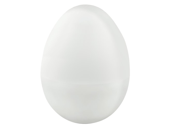 MadgeTech EggTemp Data Logger