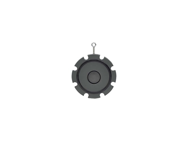 Georg Fischer Type 369 Check Valve