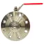 Indu-Tech Level Transmitter Isolation Valve