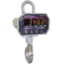 Rice Lake MSI-3460 Challenger 3 Crane Scale