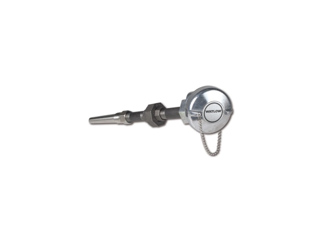 Watlow RT Style RTD with Thermowell