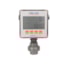 Turbines, Inc. FML250 Liquid Flow Monitor With Mount
